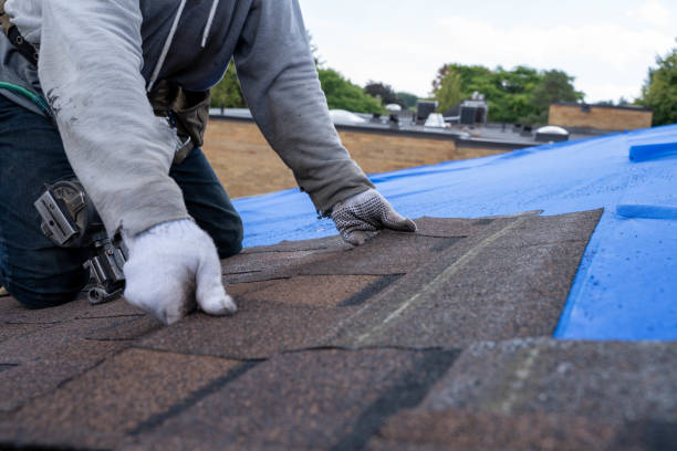 Best Roof Repair Specialists  in Marion, NC