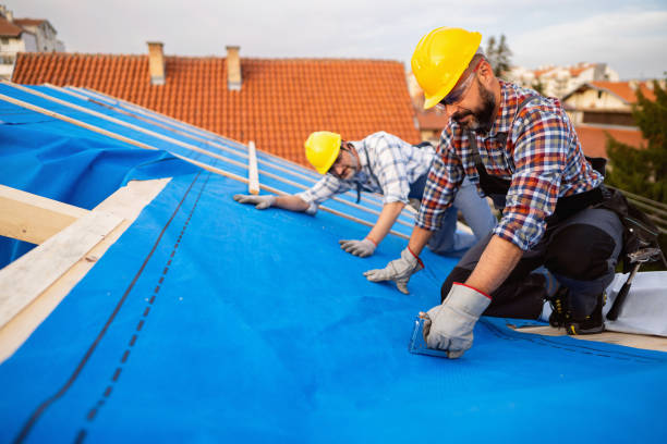 Best Roof Gutter Cleaning  in Marion, NC