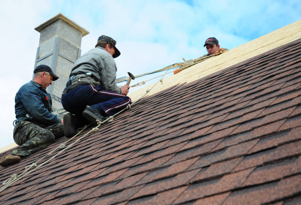 Best Roof Restoration Services  in Marion, NC